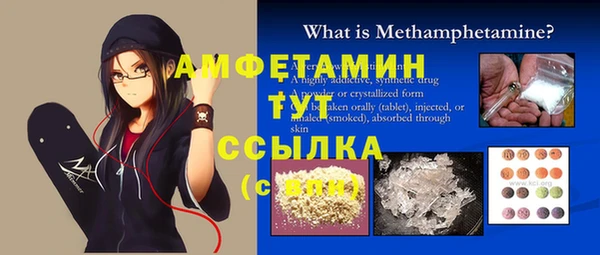 сатива Вяземский