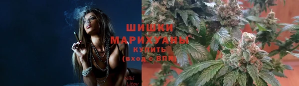сатива Вяземский
