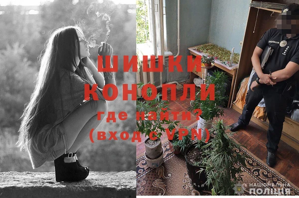 не бодяженный Волоколамск