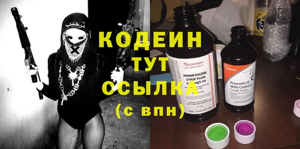 сатива Вяземский